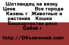 Шотландец на вязку › Цена ­ 1 000 - Все города, Казань г. Животные и растения » Кошки   . Башкортостан респ.,Сибай г.